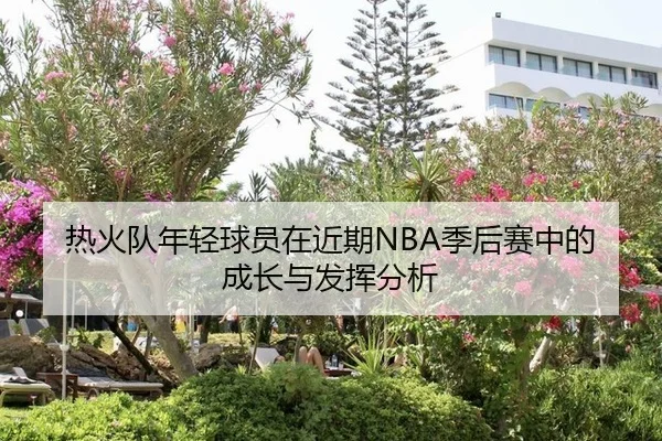热火队年轻球员在近期NBA季后赛中的成长与发挥分析