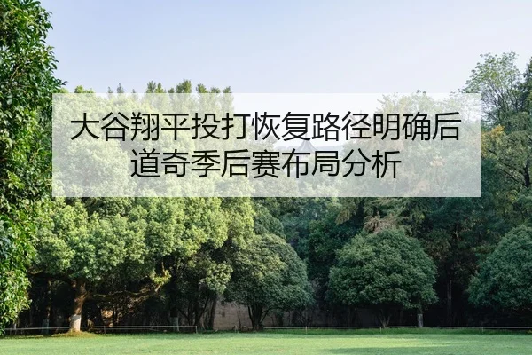 da-gu-xiang-ping-tou-da-hui-fu-lu-jing-ming-que-hou-dao-qi-ji-hou-sai-bu-ju-fen-xi-2-246.jpg