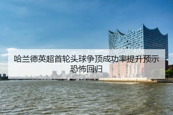 ha-lan-de-ying-chao-shou-lun-tou-qiu-zheng-ding-cheng-gong-lv-ti-sheng-yu-shi-kong-bu-hui-gui-2-947.jpg